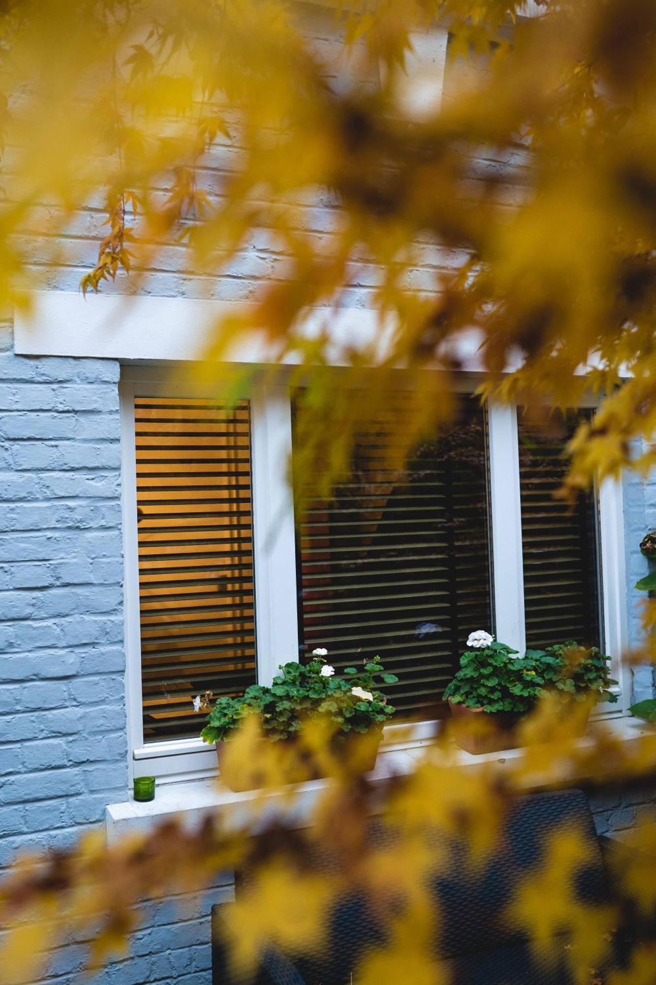B&B The Street Lodge Льеж Экстерьер фото